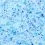 PetSafe ScoopFree Premium Crystal Litter stelivo pre mačky 2 x 2 kg