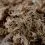 Terrabloom Moss 12 L - lisovan&yacute;