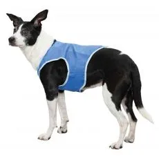 Chladiace vesty pre psov