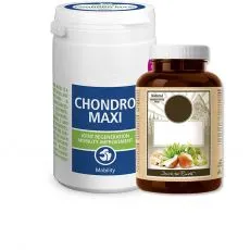 Vitam&iacute;ny pre psov