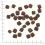 WOLFSBLUT Wild Duck Small Breed 7,5 kg