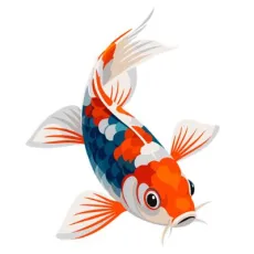 Koi kapre a karasy