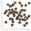 WOLFSBLUT Wide Plain Puppy 2 kg