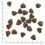 WOLFSBLUT Wide Plain Adult 2 kg