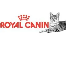 Dospel&eacute; mačky Royal Canin