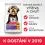 Hill's Science Plan Sensitive Stomach & Skin pre mal&yacute;ch dospel&yacute;ch psov 6 kg