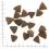 WOLFSBLUT Black Bird Large Breed Puppy 2 kg