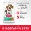 Hill's Science Plan Perfect Weight pre stredn&eacute; dospel&eacute; psy s kurac&iacute;m 2 x 12 kg