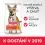 Hill's Science Plan Performance granule pre dospel&yacute;ch psov s kurac&iacute;m 2 x 14 kg