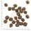 WOLFSBLUT Cold River 2 x 12,5 kg