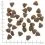 WOLFSBLUT Down Under 2 x 12,5 kg