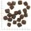 WOLFSBLUT Green Valley Adult 2 x 12,5 kg