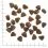 WOLFSBLUT Hunters Pride 2 x 12,5 kg
