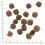 WOLFSBLUT Wild Duck 2 x 12,5 kg