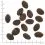 WOLFSBLUT Wild Pacific 2 x 12,5 kg