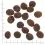 WOLFSBLUT Polar Night 12,5 kg