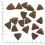 WOLFSBLUT Black Bird Large Breed 2 x 12,5 kg