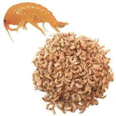 Su&scaron;en&yacute; gammarus 1000ml
