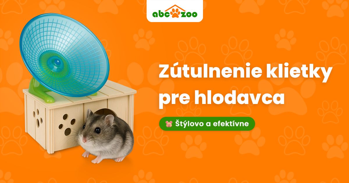 Zútulnenie klietky pre hlodavca – skutočný domov plný pohodlia