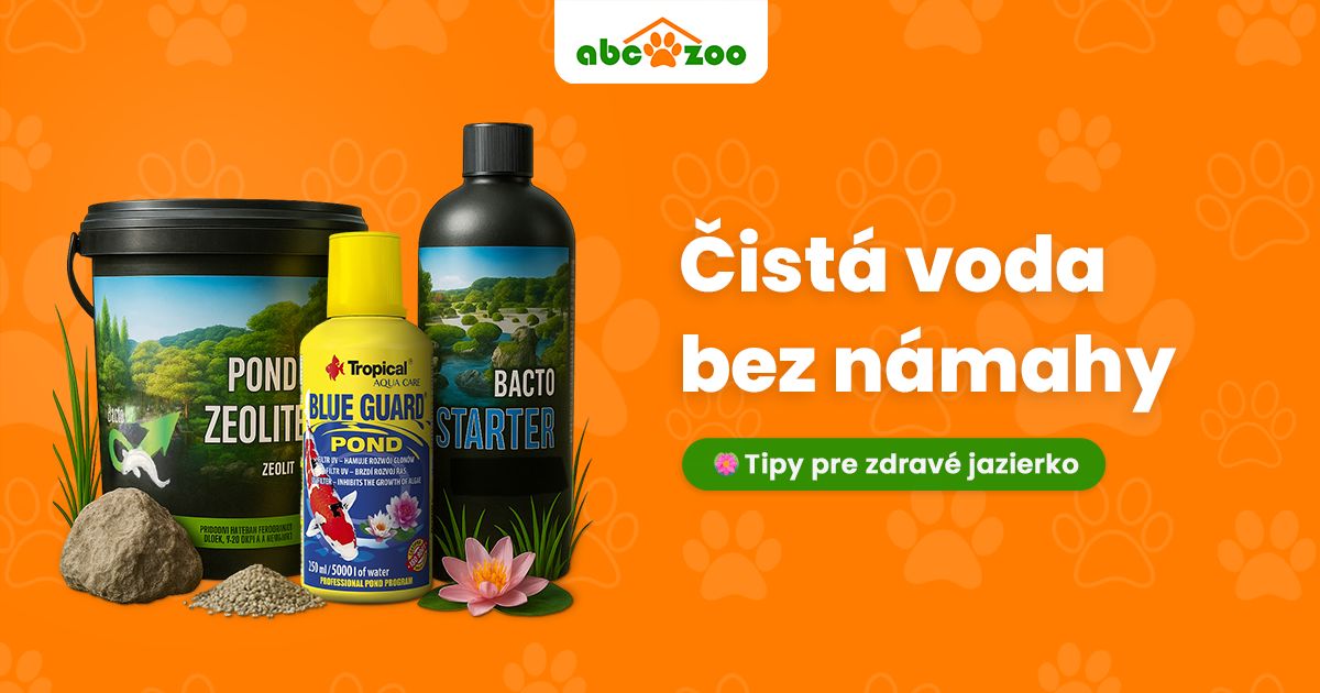 Ako udržať vodu v jazierku čist&uacute; a bez rias?