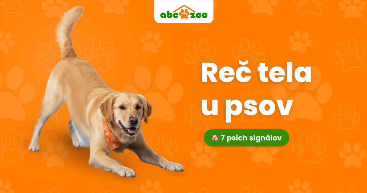 Psia reč tela: Ako č&iacute;tať 7 kľ&uacute;čov&yacute;ch sign&aacute;lov