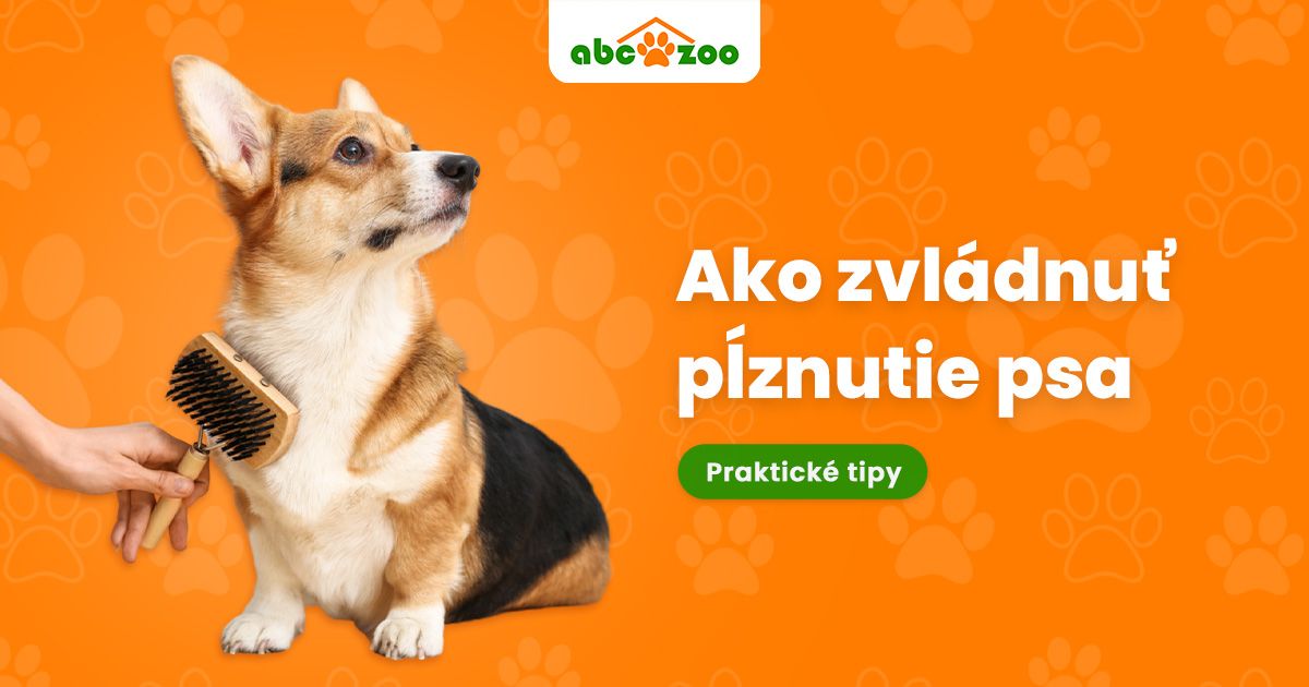 Pĺznutie psa je nočn&aacute; mora každ&eacute;ho majiteľa. Ako to zvl&aacute;dnuť? 