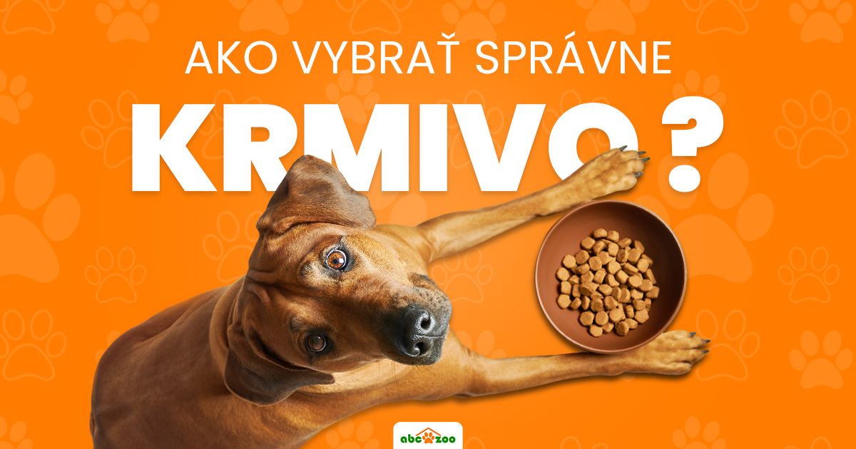 Ako vybrať správne krmivo pre psa?