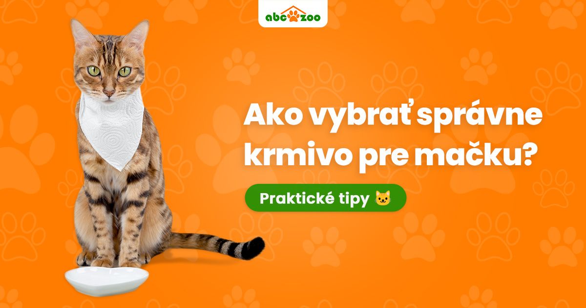 Ako vybrať správne krmivo pre mačku?
