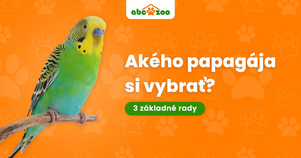Ak&eacute;ho papag&aacute;ja si vybrať za dom&aacute;ce zvieratko? 